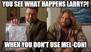 big lebowski | YOU SEE WHAT HAPPENS LARRY?! WHEN YOU DON'T USE MEL-CON! | image tagged in big lebowski | made w/ Imgflip meme maker