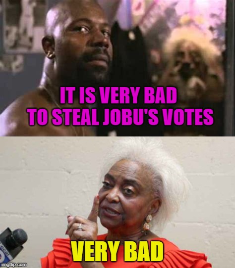 JoBu Is The Broward County Election Official | IT IS VERY BAD TO STEAL JOBU'S VOTES; VERY BAD | image tagged in politics,elections,sarcasm,vote | made w/ Imgflip meme maker