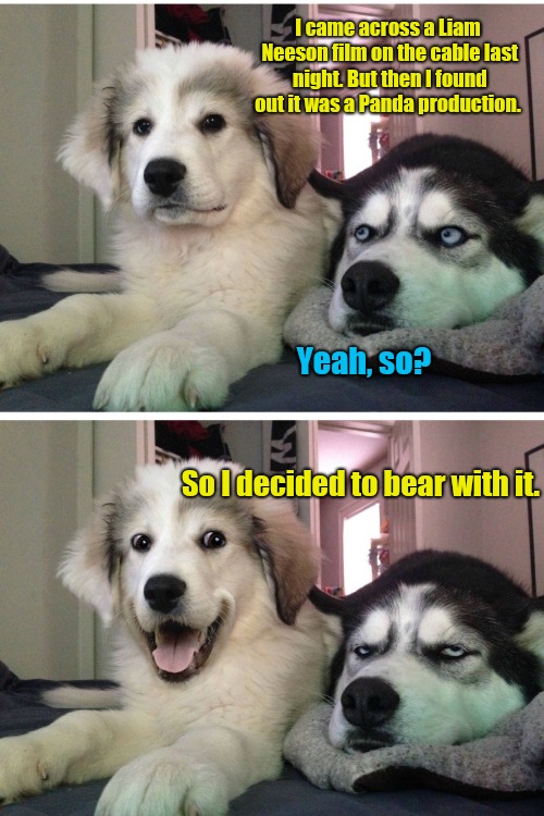 Bad pun dogs | I came across a Liam Neeson film on the cable last night. But then I found out it was a Panda production. Yeah, so? So I decided to bear with it. | image tagged in bad pun dogs | made w/ Imgflip meme maker