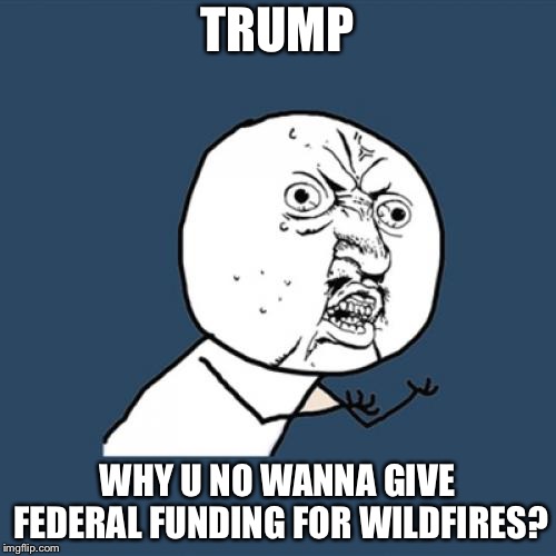 Y U No Meme | TRUMP; WHY U NO WANNA GIVE FEDERAL FUNDING FOR WILDFIRES? | image tagged in memes,y u no,wildfires,trump,california | made w/ Imgflip meme maker