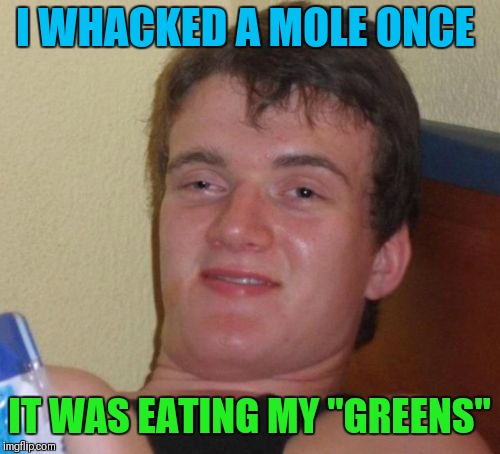 10 Guy | I WHACKED A MOLE ONCE; IT WAS EATING MY "GREENS" | image tagged in memes,10 guy,weed,whack a mole,funny | made w/ Imgflip meme maker