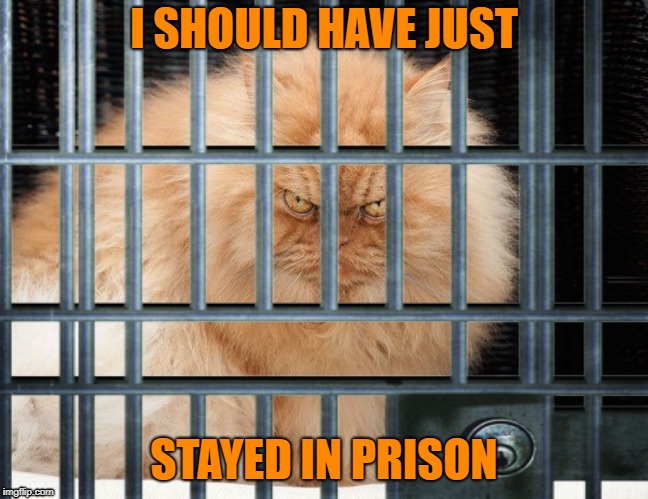 I SHOULD HAVE JUST STAYED IN PRISON | made w/ Imgflip meme maker