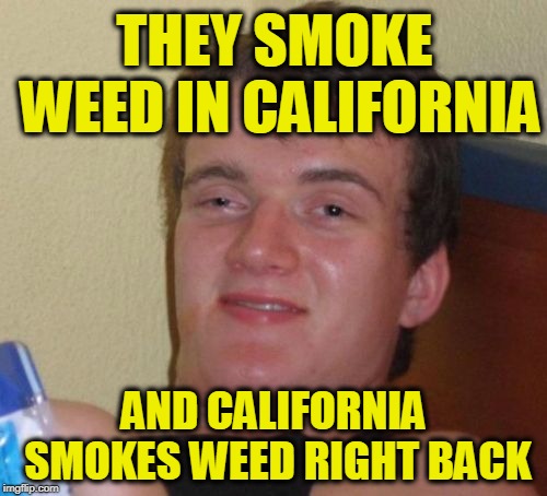 California Wildfires Explained | THEY SMOKE WEED IN CALIFORNIA; AND CALIFORNIA SMOKES WEED RIGHT BACK | image tagged in memes,10 guy | made w/ Imgflip meme maker