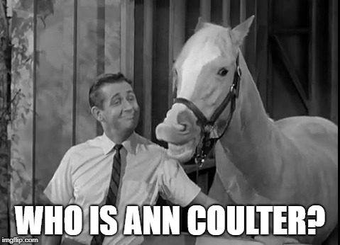 Mr Ed Speaks | WHO IS ANN COULTER? | image tagged in mr ed speaks | made w/ Imgflip meme maker