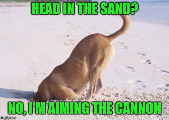 HEAD IN THE SAND? NO, I'M AIMING THE CANNON | image tagged in head in the sand | made w/ Imgflip meme maker