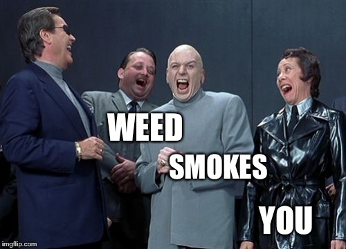 Laughing Villains Meme | WEED YOU SMOKES | image tagged in memes,laughing villains | made w/ Imgflip meme maker