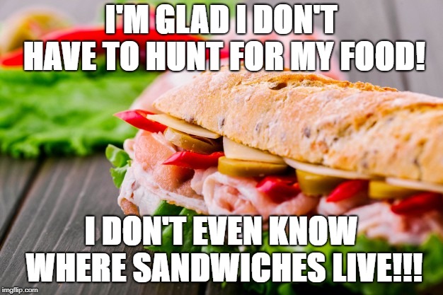 Sandwich | I'M GLAD I DON'T HAVE TO HUNT FOR MY FOOD! I DON'T EVEN KNOW WHERE SANDWICHES LIVE!!! | image tagged in sandwich | made w/ Imgflip meme maker