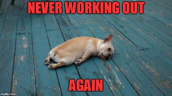 tired dog | NEVER WORKING OUT; AGAIN | image tagged in tired dog | made w/ Imgflip meme maker