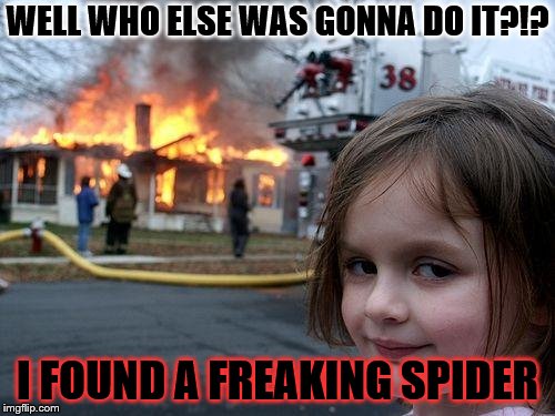 Disaster Girl | WELL WHO ELSE WAS GONNA DO IT?!? I FOUND A FREAKING SPIDER | image tagged in memes,disaster girl | made w/ Imgflip meme maker
