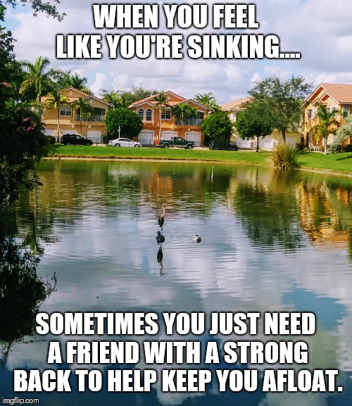 WHEN YOU FEEL LIKE YOU'RE SINKING.... SOMETIMES YOU JUST NEED A FRIEND WITH A STRONG BACK TO HELP KEEP YOU AFLOAT. | image tagged in staying afloat | made w/ Imgflip meme maker