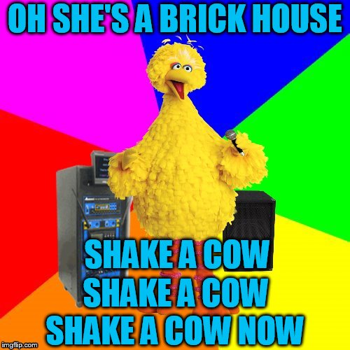 Some Saturday Commodores! | OH SHE'S A BRICK HOUSE; SHAKE A COW; SHAKE A COW; SHAKE A COW NOW | image tagged in wrong lyrics karaoke big bird | made w/ Imgflip meme maker