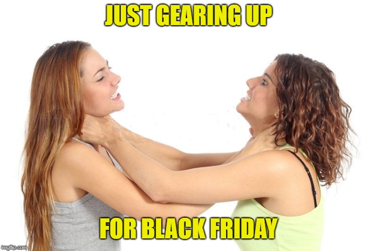 All We Need Is Steely Dan Singing It In the Background | JUST GEARING UP; FOR BLACK FRIDAY | image tagged in women fighting,memes,steely dan,black friday | made w/ Imgflip meme maker