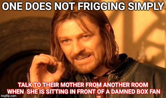 One Does Not Simply | ONE DOES NOT FRIGGING SIMPLY; TALK TO THEIR MOTHER FROM ANOTHER ROOM WHEN 
SHE IS SITTING IN FRONT OF A DAMNED BOX FAN | image tagged in memes,one does not simply | made w/ Imgflip meme maker