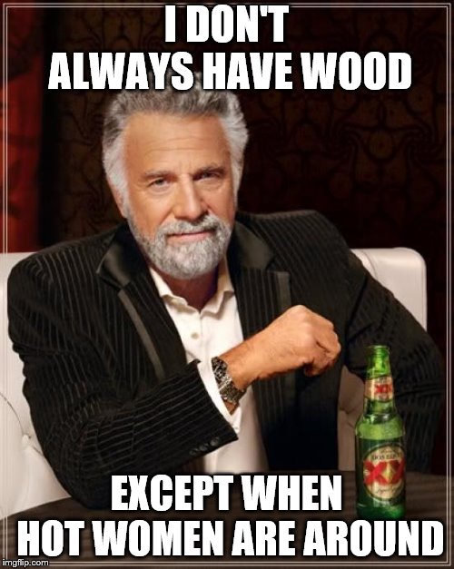 The Most Interesting Man In The World Meme | I DON'T ALWAYS HAVE WOOD EXCEPT WHEN HOT WOMEN ARE AROUND | image tagged in memes,the most interesting man in the world | made w/ Imgflip meme maker