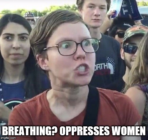 Triggered feminist | BREATHING? OPPRESSES WOMEN | image tagged in triggered feminist | made w/ Imgflip meme maker