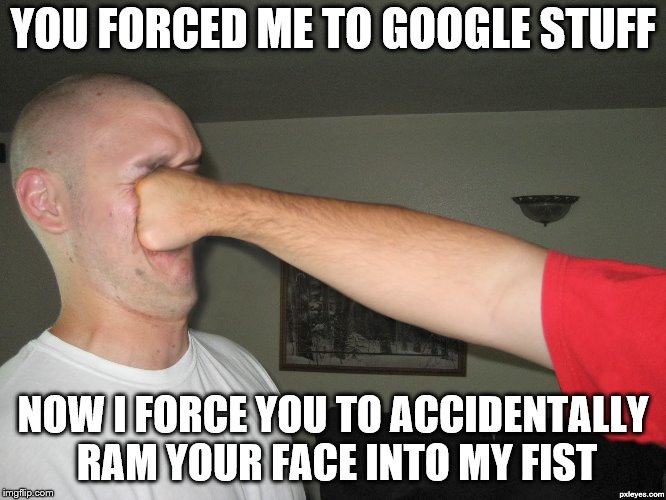 Face punch | YOU FORCED ME TO GOOGLE STUFF NOW I FORCE YOU TO ACCIDENTALLY RAM YOUR FACE INTO MY FIST | image tagged in face punch | made w/ Imgflip meme maker
