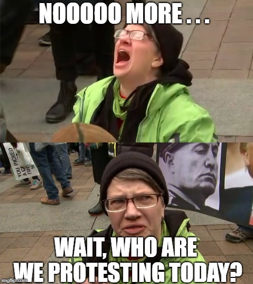 NOOOOO MORE . . . WAIT, WHO ARE WE PROTESTING TODAY? | made w/ Imgflip meme maker