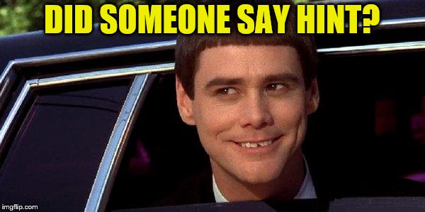 dumb and dumber | DID SOMEONE SAY HINT? | image tagged in dumb and dumber | made w/ Imgflip meme maker