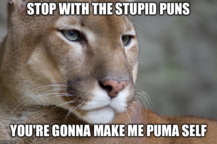 The puns must stop!!! | STOP WITH THE STUPID PUNS; YOU'RE GONNA MAKE ME PUMA SELF | image tagged in memes,animals,puma,funny animals,puns | made w/ Imgflip meme maker