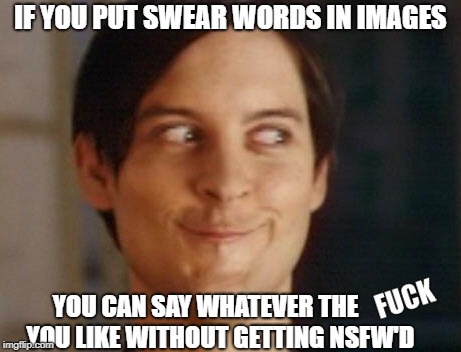 Spiderman Peter Parker Meme | IF YOU PUT SWEAR WORDS IN IMAGES YOU CAN SAY WHATEVER THE      YOU LIKE WITHOUT GETTING NSFW'D | image tagged in memes,spiderman peter parker | made w/ Imgflip meme maker