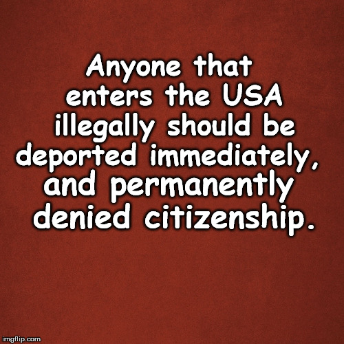 Blank Red Background | Anyone that enters the USA illegally should be deported immediately, and permanently denied citizenship. | image tagged in blank red background | made w/ Imgflip meme maker