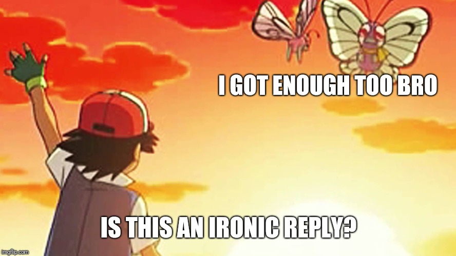 Bye bye butterfree | I GOT ENOUGH TOO BRO IS THIS AN IRONIC REPLY? | image tagged in bye bye butterfree | made w/ Imgflip meme maker