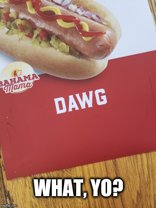 WHAT, YO? | image tagged in dawg | made w/ Imgflip meme maker
