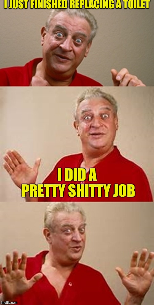 bad pun Dangerfield  | I JUST FINISHED REPLACING A TOILET; I DID A PRETTY SHITTY JOB | image tagged in bad pun dangerfield | made w/ Imgflip meme maker