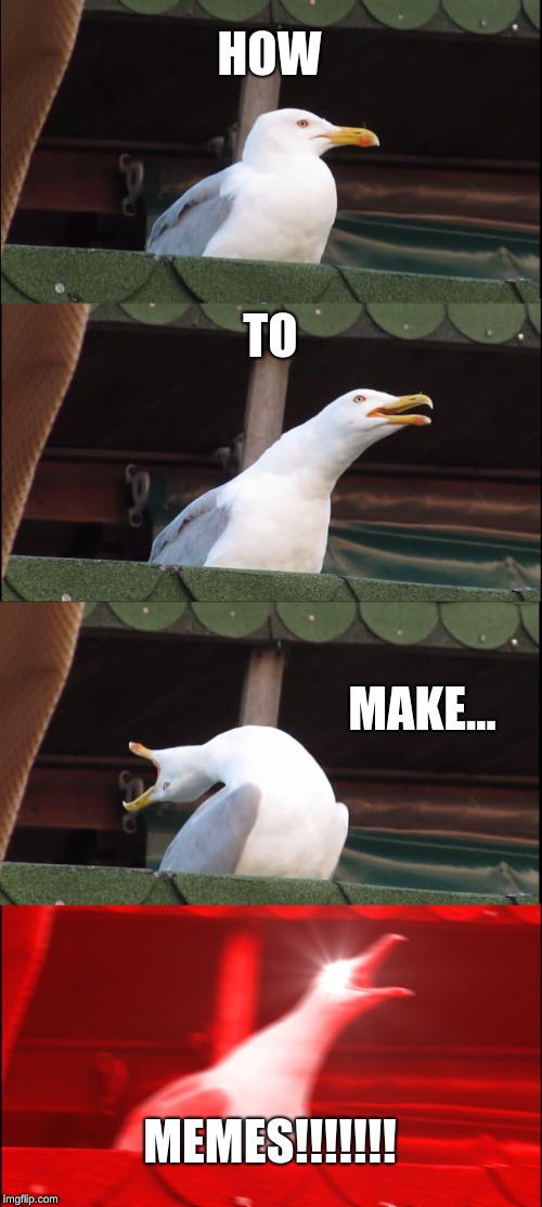Inhaling Seagull | HOW; TO; MAKE... MEMES!!!!!!! | image tagged in memes,inhaling seagull | made w/ Imgflip meme maker