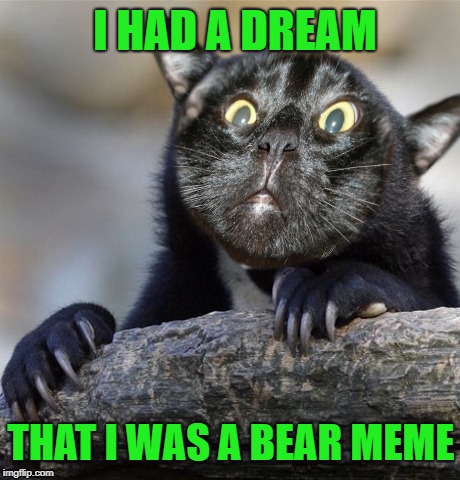 Bad Dream | I HAD A DREAM; THAT I WAS A BEAR MEME | image tagged in funny memes,cat,cats,confession | made w/ Imgflip meme maker