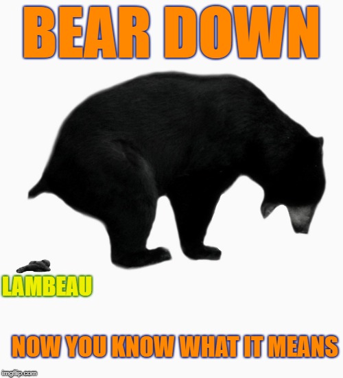 Bear Down | BEAR DOWN; LAMBEAU; NOW YOU KNOW WHAT IT MEANS | image tagged in bears chicago bears lambeau field,packers,green bay packers | made w/ Imgflip meme maker