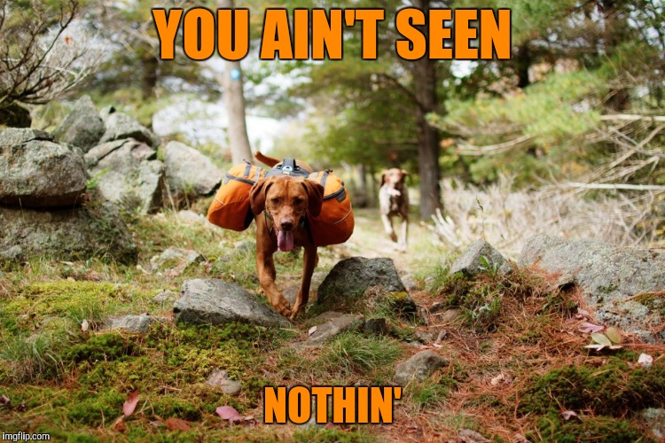 YOU AIN'T SEEN NOTHIN' | made w/ Imgflip meme maker