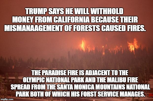 forest fire | TRUMP SAYS HE WILL WITHHOLD MONEY FROM CALIFORNIA BECAUSE THEIR MISMANAAGEMENT OF FORESTS CAUSED FIRES. THE PARADISE FIRE IS ADJACENT TO THE OLYMPIC NATIONAL PARK AND THE MALIBU FIRE SPREAD FROM THE SANTA MONICA MOUNTAINS NATIONAL PARK BOTH OF WHICH HIS FORST SERVICE MANAGES. | image tagged in forest fire | made w/ Imgflip meme maker