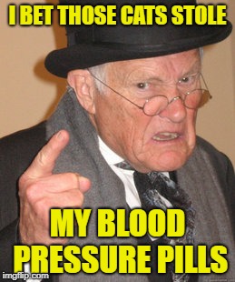 Back In My Day Meme | I BET THOSE CATS STOLE MY BLOOD PRESSURE PILLS | image tagged in memes,back in my day | made w/ Imgflip meme maker