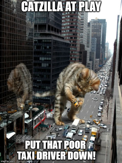 Catzilla at Play | CATZILLA AT PLAY; PUT THAT POOR TAXI DRIVER DOWN! | image tagged in catzilla,nyc,taxi,yellow cab,giant cat | made w/ Imgflip meme maker