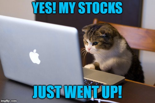 YES! MY STOCKS JUST WENT UP! | made w/ Imgflip meme maker