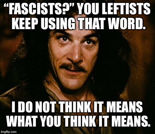Indigo Montoya | “FASCISTS?” YOU LEFTISTS KEEP USING THAT WORD. I DO NOT THINK IT MEANS WHAT YOU THINK IT MEANS. | image tagged in indigo montoya | made w/ Imgflip meme maker