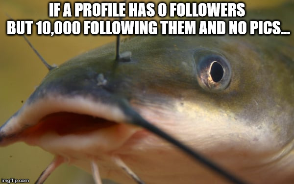 IF A PROFILE HAS 0 FOLLOWERS BUT 10,000 FOLLOWING THEM AND NO PICS... | image tagged in catfish,fake profile,social media,fako | made w/ Imgflip meme maker