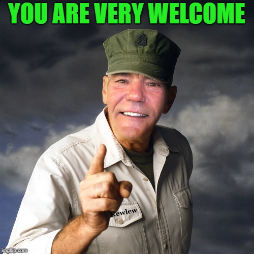 YOU ARE VERY WELCOME | image tagged in kewlew | made w/ Imgflip meme maker