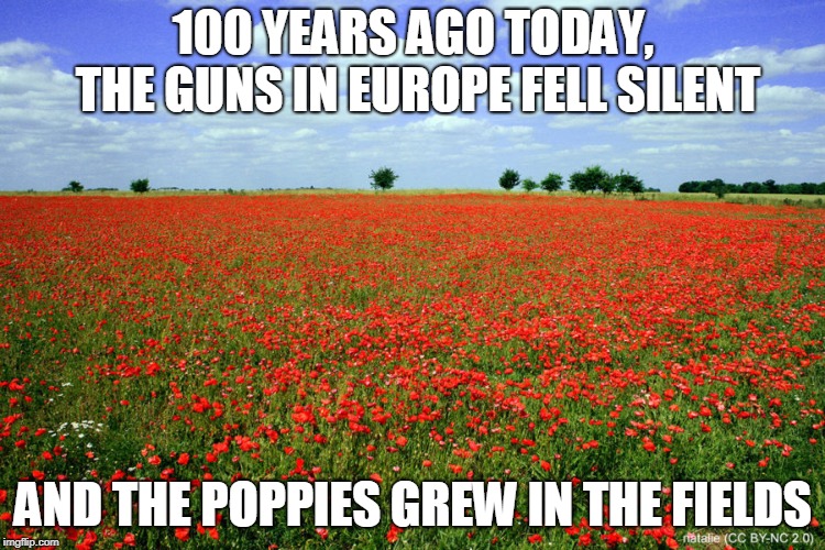 100 YEARS AGO TODAY, THE GUNS IN EUROPE FELL SILENT; AND THE POPPIES GREW IN THE FIELDS | made w/ Imgflip meme maker