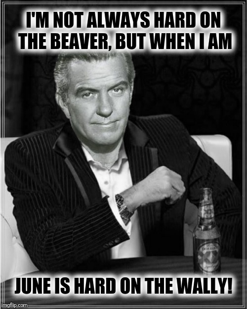 I'M NOT ALWAYS HARD ON THE BEAVER, BUT WHEN I AM JUNE IS HARD ON THE WALLY! | made w/ Imgflip meme maker