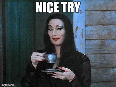 Morticia drinking tea | NICE TRY | image tagged in morticia drinking tea | made w/ Imgflip meme maker