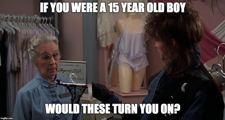 IF YOU WERE A 15 YEAR OLD BOY; WOULD THESE TURN YOU ON? | image tagged in weird science | made w/ Imgflip meme maker