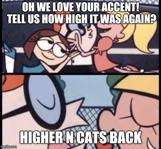 I love your accent | OH WE LOVE YOUR ACCENT! TELL US HOW HIGH IT WAS AGAIN? HIGHER N CATS BACK | image tagged in i love your accent | made w/ Imgflip meme maker