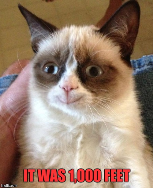 Grumpy Cat Happy Meme | IT WAS 1,000 FEET | image tagged in memes,grumpy cat happy,grumpy cat | made w/ Imgflip meme maker
