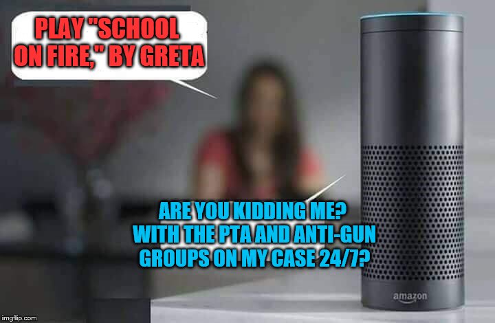 Alexa do X | PLAY "SCHOOL ON FIRE," BY GRETA; ARE YOU KIDDING ME? WITH THE PTA AND ANTI-GUN GROUPS ON MY CASE 24/7? | image tagged in alexa do x,greta,old grunge songs,gun control,school violence | made w/ Imgflip meme maker