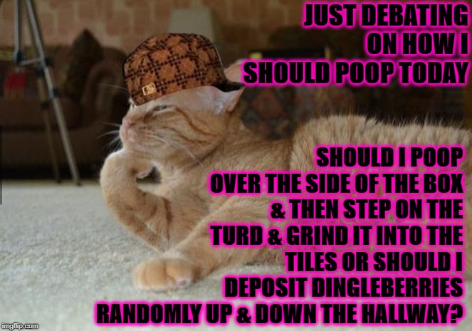 JUST DEBATING ON HOW I SHOULD POOP TODAY; SHOULD I POOP OVER THE SIDE OF THE BOX & THEN STEP ON THE TURD & GRIND IT INTO THE TILES OR SHOULD I DEPOSIT DINGLEBERRIES RANDOMLY UP & DOWN THE HALLWAY? | image tagged in debating,scumbag | made w/ Imgflip meme maker