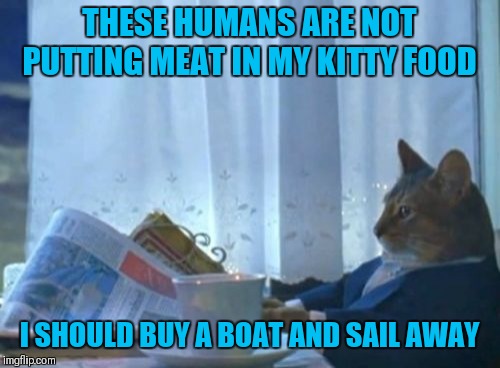 I Should Buy A Boat Cat | THESE HUMANS ARE NOT PUTTING MEAT IN MY KITTY FOOD; I SHOULD BUY A BOAT AND SAIL AWAY | image tagged in memes,i should buy a boat cat,cats,funny,cat food | made w/ Imgflip meme maker