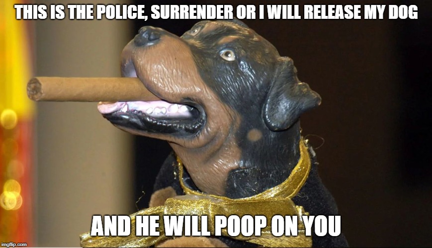 triumph dog | THIS IS THE POLICE, SURRENDER OR I WILL RELEASE MY DOG; AND HE WILL POOP ON YOU | image tagged in triumph dog | made w/ Imgflip meme maker
