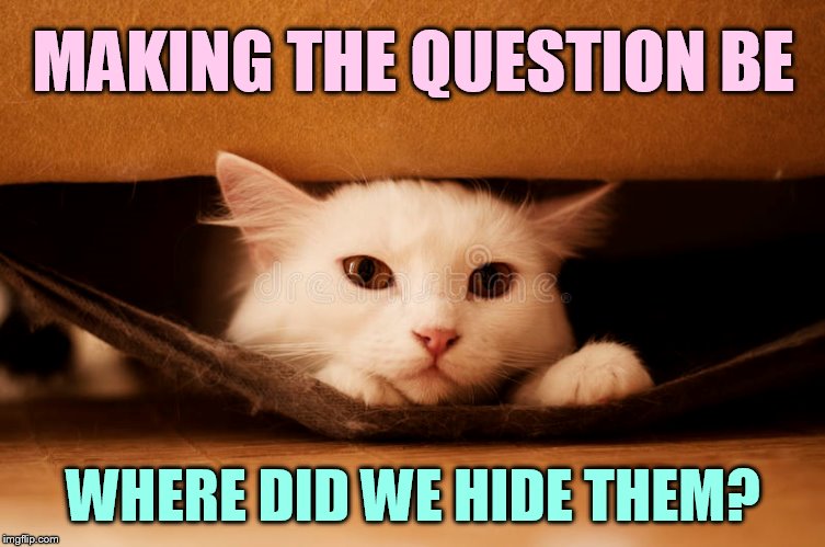 MAKING THE QUESTION BE WHERE DID WE HIDE THEM? | made w/ Imgflip meme maker
